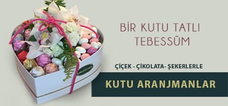 Dijinova Çiçekçim